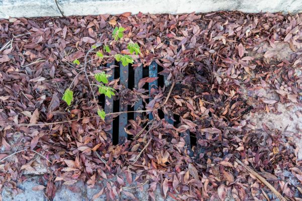 Yard Drain Unclogging in Nashua