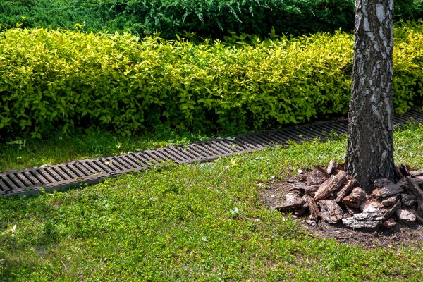 Residential Landscape Drainage in Nashua