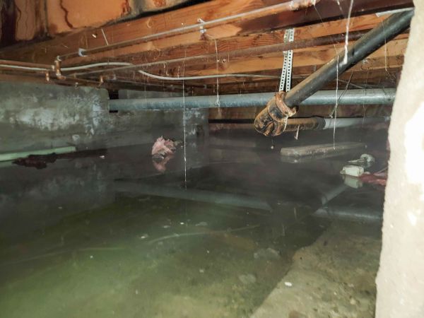 Cost of Crawlspace Drainage in Nashua